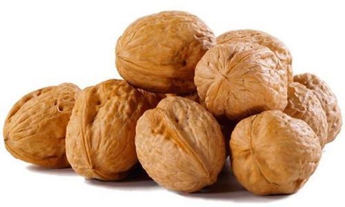Rich Protein Walnut with Shell