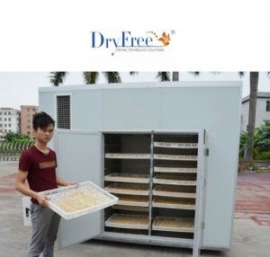 200kg Heat Pump Dryer Mango Dehydrator Machine