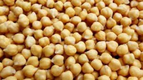 Chickpea for Good Health