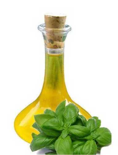 Holy Basil Essential Oil  Grade: A