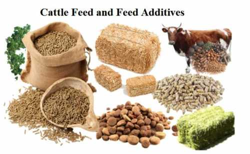 Cattle Feed and Feed Additives