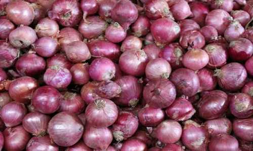 Hygienically Processed Fresh Red Onion