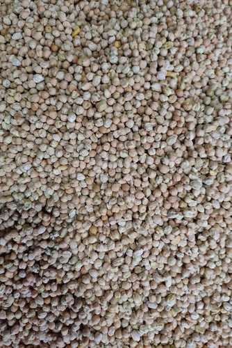 White Natural Organic Chickpeas, Chana