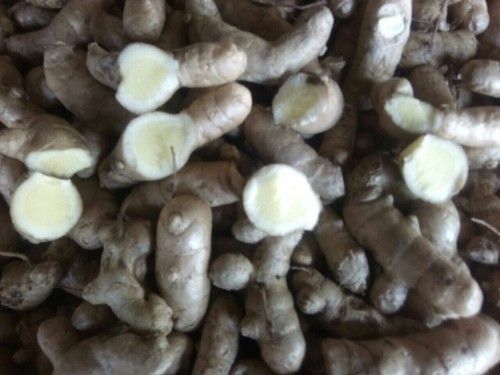 Natural Organic White Turmeric
