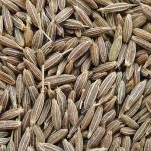 Cumin Seeds (Jeera Seeds)