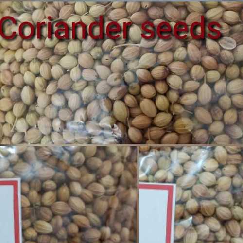 Dried Whole Coriander Seeds