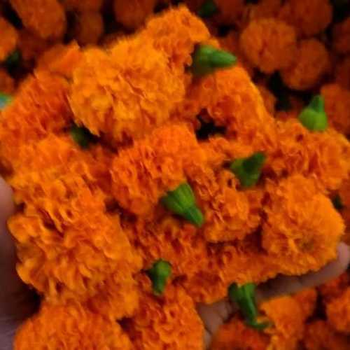 Natural Fresh Marigold Flower