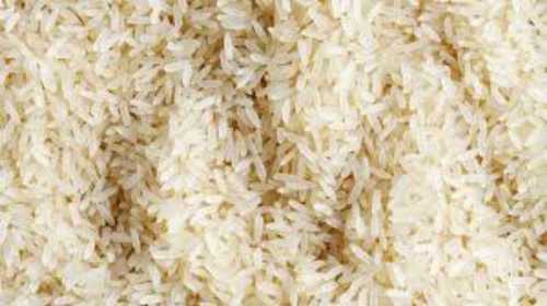 Short Grain White Rice 