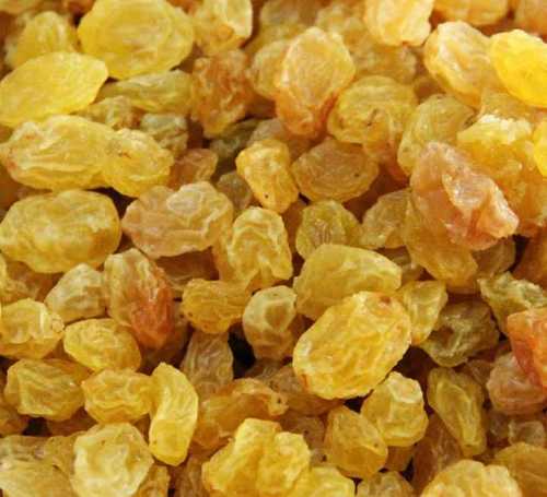 Sweet Dried Golden Raisin