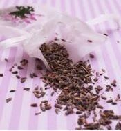 Lavender Seeds