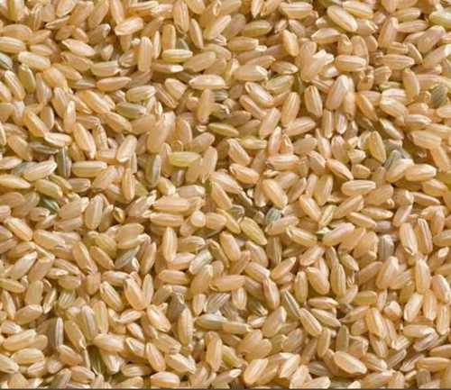 Medium Grain Polished Brown Rice