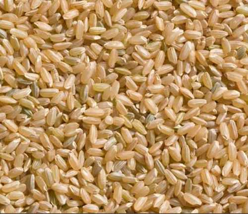 Common Medium Grain Polished Brown Rice