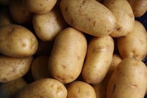 Natural and Fresh Potato