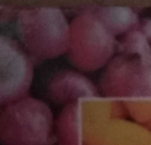 No Artificial Color Fresh Onion