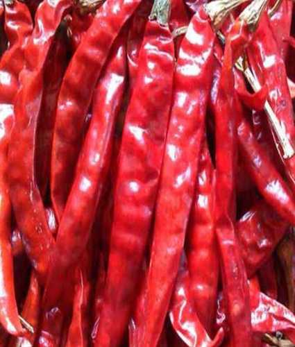 Red Color Dried Chilli