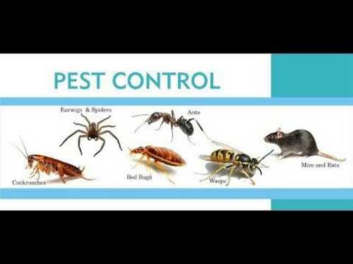 Outdoor Pest Control Services  By bhagvati pest control services