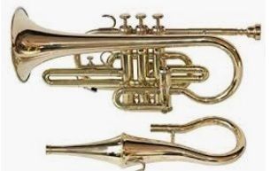 Echo Cornet