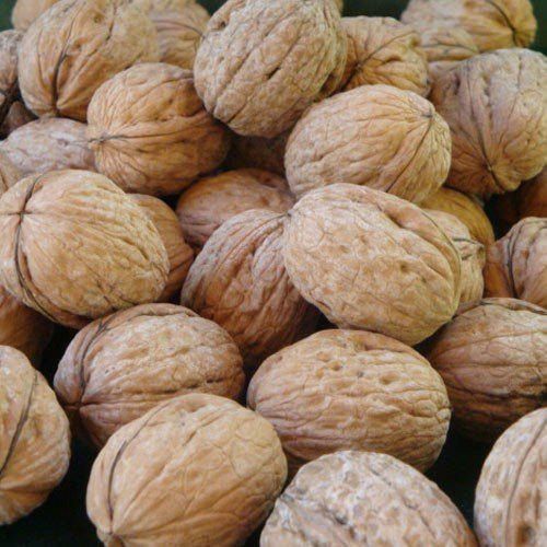 Export Quality Dried Walnut