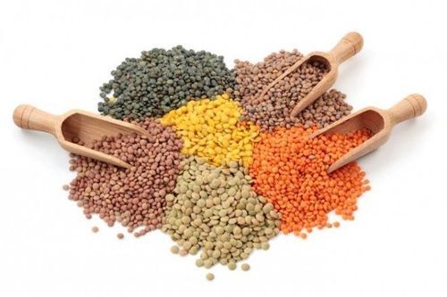 White Export Quality Red Lentils