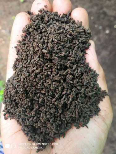 Organic Greenfarm Vermicompost Fertilizer