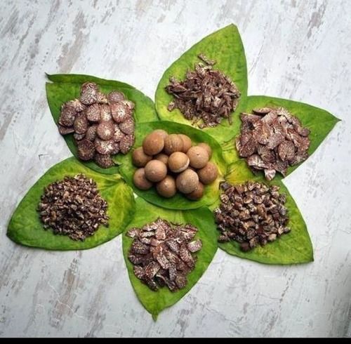 Brown Natural Dried Betel Nuts