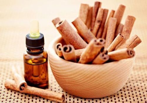 Yellow Pure Natural Cinnamon Essential Oil