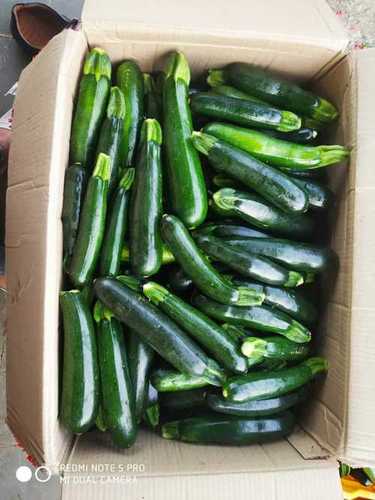 Straight Fresh Green Zucchini Vegetable