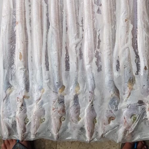 Frozen Export Quality Ribbon Fish