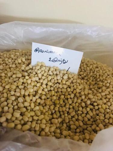 Organic White Ulunthu (Urad Dal)