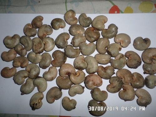 Raw Cashew Nuts In Shell (RCN)