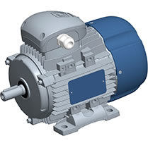 Optimum Performance Induction Electric Motor Efficacy: Ie2