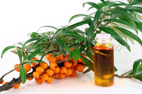 Organic Sea Buckthorn Oil Application: Skin Care