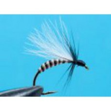 White Black Deadly Ant Cdc Flies