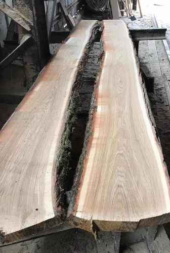 Dried Hardwood Log