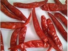 Teja Red Dried Chilli