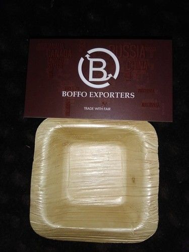 Biodegradable Plate With Rectangular Shape