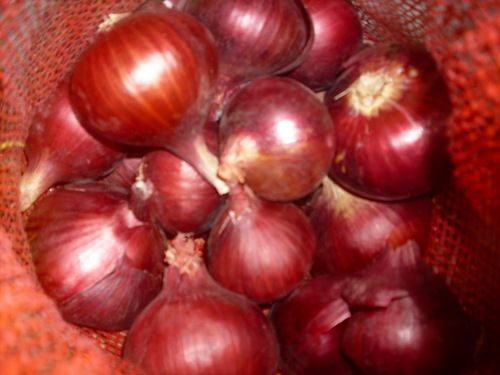 Round Natural Taste Red Onions