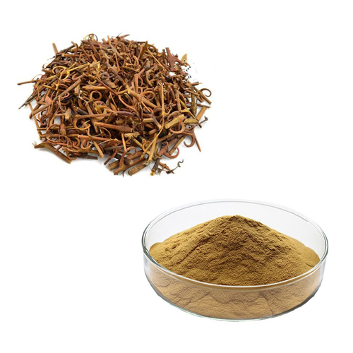 100% Natural Gambier Extract Uncaria Gambier Extract Grade: A