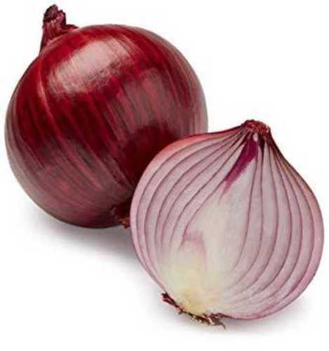 Fresh Red Onion - Medium Size, Light Red Color | Organic, No Artificial Flavor