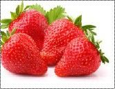 Red Good For Nutritions Fortuna Strawberry