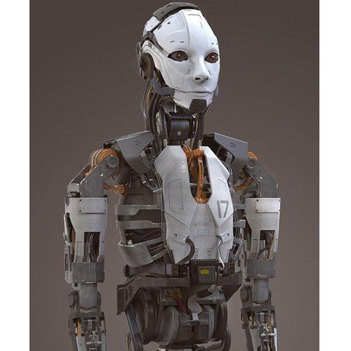 Metal Industrial Grade Humanoid Robots