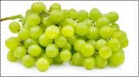 Organic Milky Green Tasty Grapes