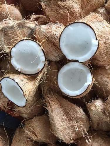 High Fat Organic Coconut 