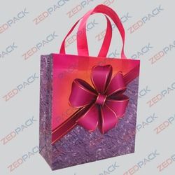 Paper Shopping Bags  Gift Bag Suppliers  Manufacturers in Delhi