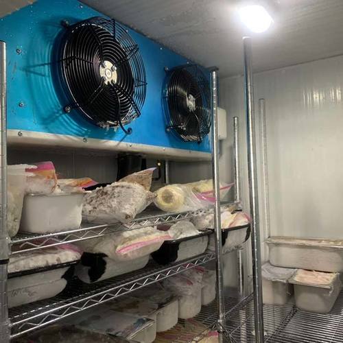 Processing Cold Storage Room By Yangtzecooling Ice System Co., Ltd.