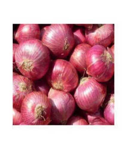 Natural Fresh Red Onion