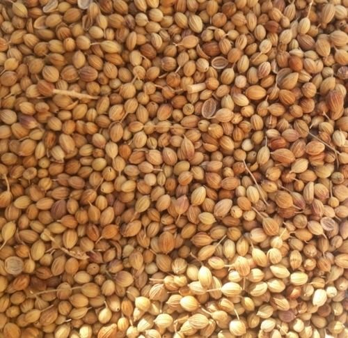 Premium Natural Coriander Seeds