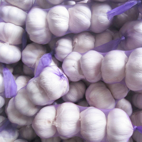 Fresh Quality Natural Garlic