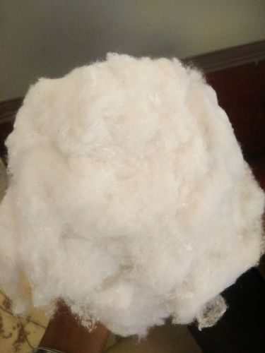 Soft Recycled Cotton Fiber