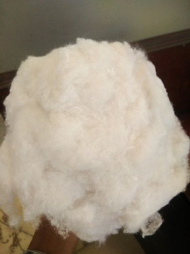 Cotton Fiber In Ludhiana, Punjab At Best Price  Cotton Fiber  Manufacturers, Suppliers In Ludhiana